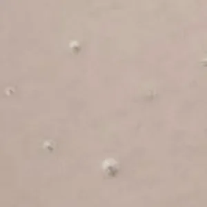 Impurità nel trasparente Difetti di verniciatura sporco nel trasparente